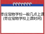 枣庄宠物学校一般几点上课(枣庄宠物学校上课时间)