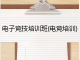 电子竞技培训班(电竞培训)