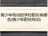 青少年特训的学校职校有哪些(青少年职校特训)