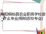 南阳桐柏县农业职高学校读什么专业(桐柏农校专业)