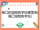 海口的宠物狗学校哪里有(海口宠物狗学校)