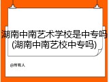 湖南中南艺术学校是中专吗(湖南中南艺校中专吗)