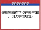 银川宠物狗学校在哪里(银川训犬学校地址)
