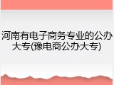 河南有电子商务专业的公办大专(豫电商公办大专)