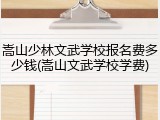嵩山少林文武学校报名费多少钱(嵩山文武学校学费)