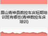 眉山青神县数控车床短期培训班有哪些(青神数控车床培训)