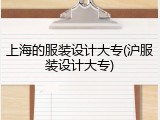 上海的服装设计大专(沪服装设计大专)