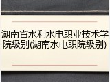 湖南省水利水电职业技术学院级别(湖南水电职院级别)