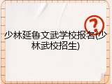 少林延鲁文武学校报名(少林武校招生)