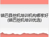 镇巴县挖机培训机构哪家好(镇巴挖机培训优选)