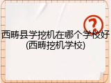 西畴县学挖机在哪个学校好(西畴挖机学校)