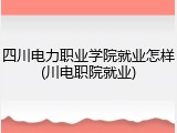四川电力职业学院就业怎样(川电职院就业)