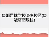 鲁能足球学校济南校区(鲁能济南足校)