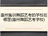 惠州集训舞蹈艺考的学校在哪里(惠州舞蹈艺考学校)