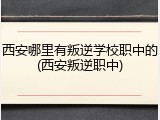 西安哪里有叛逆学校职中的(西安叛逆职中)