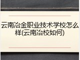 云南冶金职业技术学校怎么样(云南冶校如何)