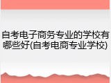 自考电子商务专业的学校有哪些好(自考电商专业学校)