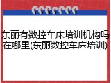 东丽有数控车床培训机构吗在哪里(东丽数控车床培训)