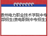 贵州电力职业技术学院中专部招生(贵电职院中专招生)