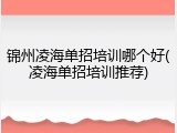 锦州凌海单招培训哪个好(凌海单招培训推荐)