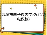 武汉市电子仪表学校(武汉电仪校)