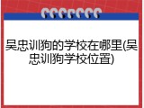 吴忠训狗的学校在哪里(吴忠训狗学校位置)