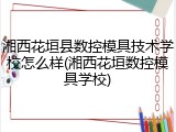 湘西花垣县数控模具技术学校怎么样(湘西花垣数控模具学校)