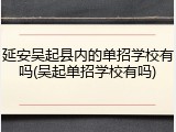 延安吴起县内的单招学校有吗(吴起单招学校有吗)