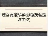 茂名有足球学校吗(茂名足球学校)