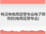 有没有电商运营专业电子商务的(电商运营专业)