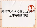翱翔艺术学校怎么样(翱翔艺术学校如何)