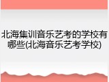 北海集训音乐艺考的学校有哪些(北海音乐艺考学校)