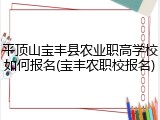 平顶山宝丰县农业职高学校如何报名(宝丰农职校报名)