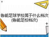 鲁能足球学校属于什么档次(鲁能足校档次)
