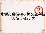永城市裴桥镇少林文武学校(裴桥少林武校)