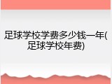 足球学校学费多少钱一年(足球学校年费)