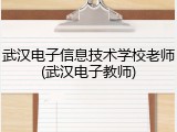 武汉电子信息技术学校老师(武汉电子教师)