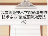 武威职业技术学院动漫制作技术专业(武威职院动漫技术)