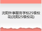 沈阳外事服务学校25级校花(沈阳25级校花)