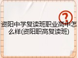 资阳中学复读班职业高中怎么样(资阳职高复读班)