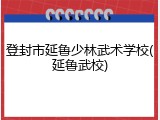 登封市延鲁少林武术学校(延鲁武校)