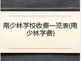南少林学校收费一览表(南少林学费)