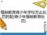 强制教育青少年学校怎么处罚的呢(青少年强制教育处罚)