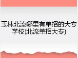 玉林北流哪里有单招的大专学校(北流单招大专)