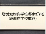 塔城宠物狗学校哪家好(塔城训狗学校推荐)