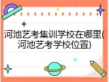 河池艺考集训学校在哪里(河池艺考学校位置)