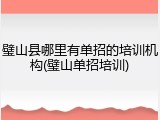 璧山县哪里有单招的培训机构(璧山单招培训)