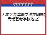 无锡艺考集训学校在哪里(无锡艺考学校地址)