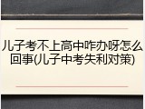 儿子考不上高中咋办呀怎么回事(儿子中考失利对策)