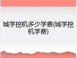城学挖机多少学费(城学挖机学费)